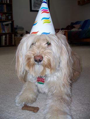 charlie4thbirthday.jpg