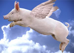 pork-on-the-wing-s.jpg